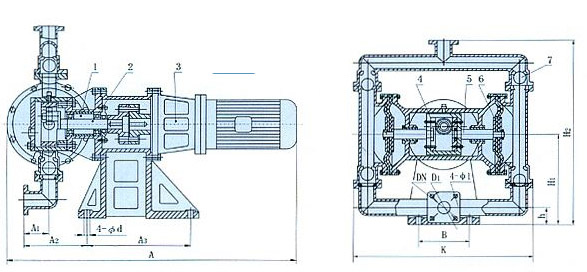 電動隔膜泵的結構圖片