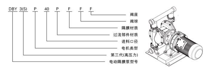 電動(dòng)隔膜泵型號(hào)意義圖片