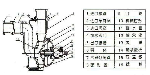 自吸式無堵塞排污泵結構圖片